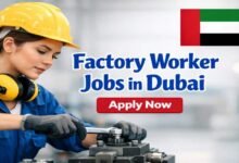 Factory Worker Jobs in Dubai