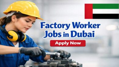 Factory Worker Jobs in Dubai