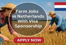 Farm Jobs in Netherlands