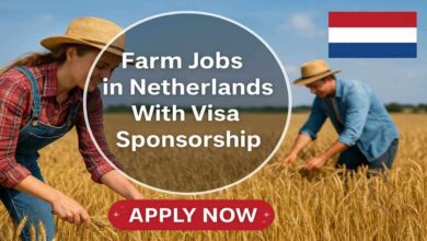 Farm Jobs in Netherlands With Visa Sponsorship