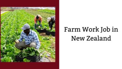 Farm Work Job in New Zealand