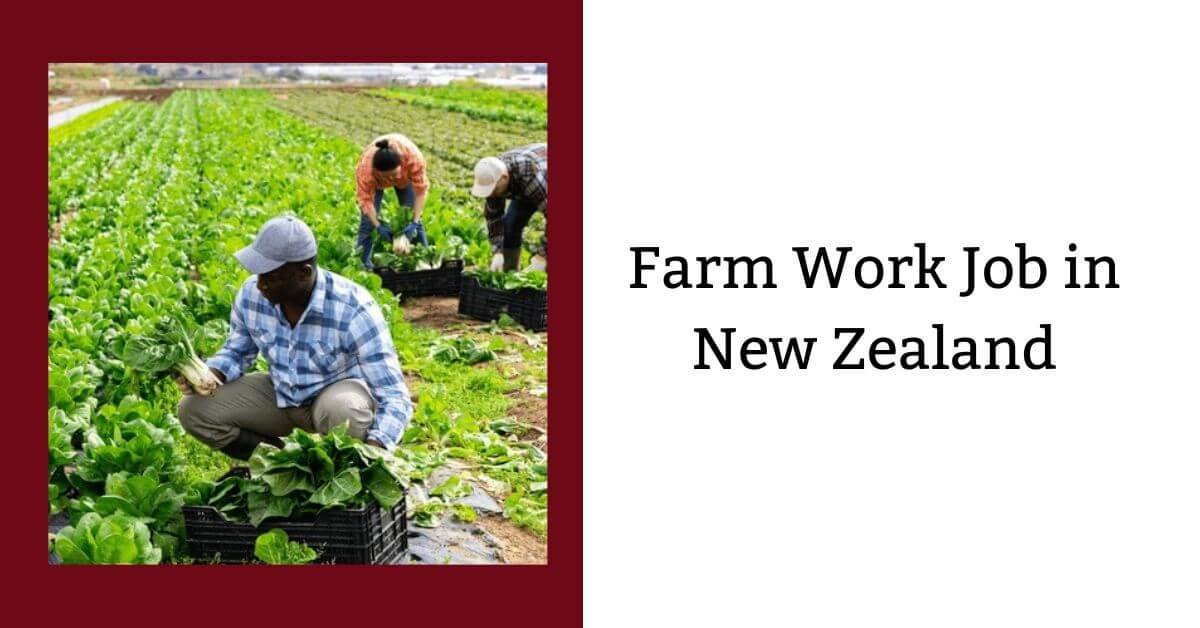 Farm Work Job in New Zealand 2026 - Apply Now