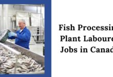 Fish Processing Plant Labourer Jobs in Canada