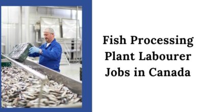 Fish Processing Plant Labourer Jobs in Canada