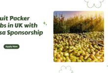Fruit Packer Jobs in UK