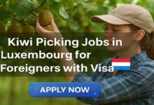 Kiwi Picking Jobs in Luxembourg for Foreigners with Visa