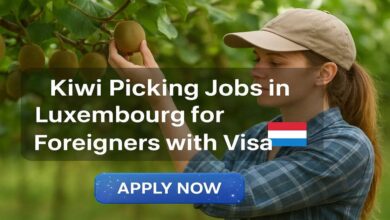 Kiwi Picking Jobs in Luxembourg for Foreigners with Visa