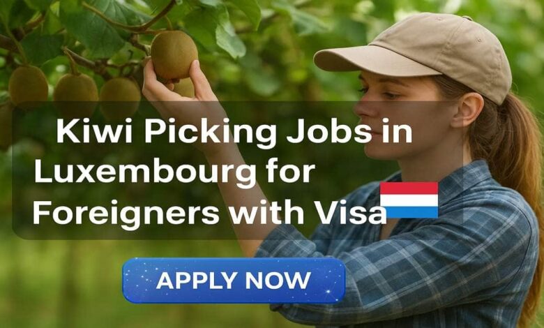 Kiwi Picking Jobs in Luxembourg for Foreigners with Visa