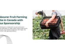 Labourer Fruit Farming Jobs in Canada