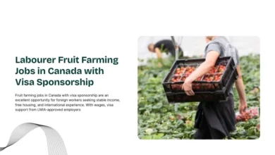 Labourer Fruit Farming Jobs in Canada