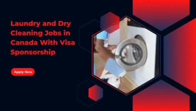 Laundry and Dry Cleaning Jobs in Canada