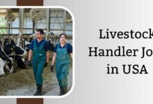 Livestock Handler Jobs in USA