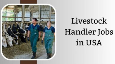 Livestock Handler Jobs in USA
