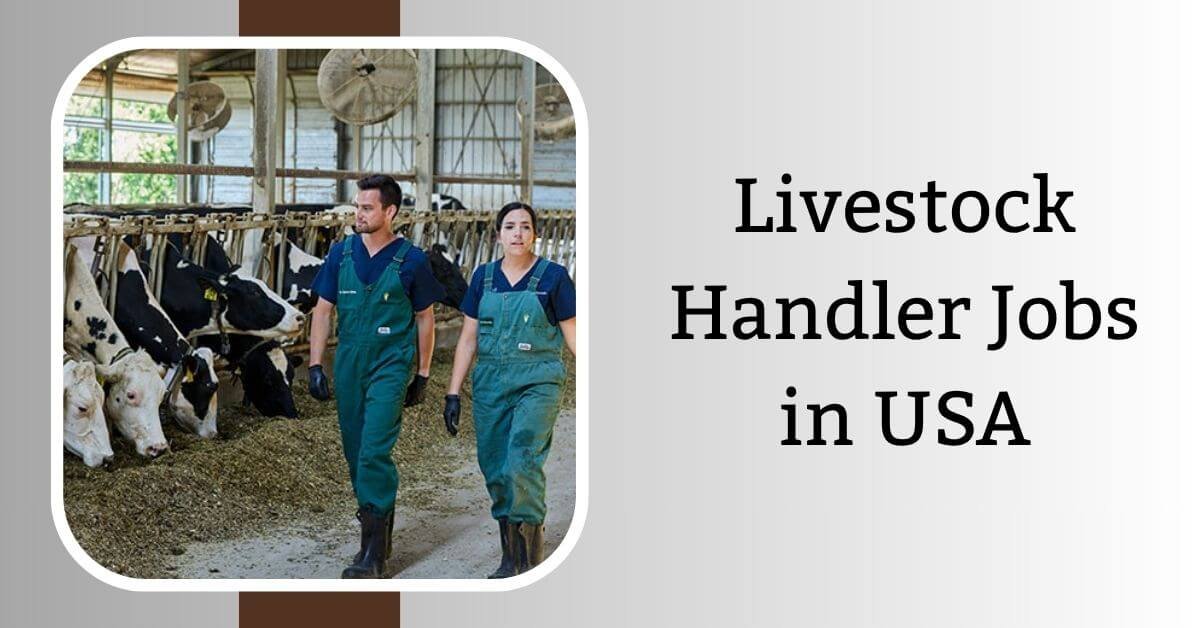 Livestock Handler Jobs in USA 2026 - Visa Sponsorship