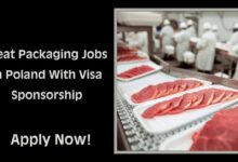 Meat Packaging Jobs in Poland With Visa Sponsorship