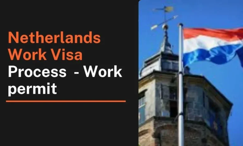 Netherlands Work Visa Process