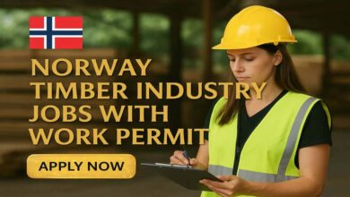 Norway Timber Industry Jobs With Work Permit