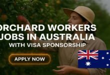 Orchard Workers Jobs in Australia with Visa Sponsorship