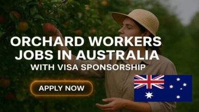 Orchard Workers Jobs in Australia with Visa Sponsorship