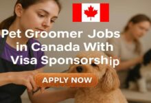 Pet Groomer Jobs in Canada