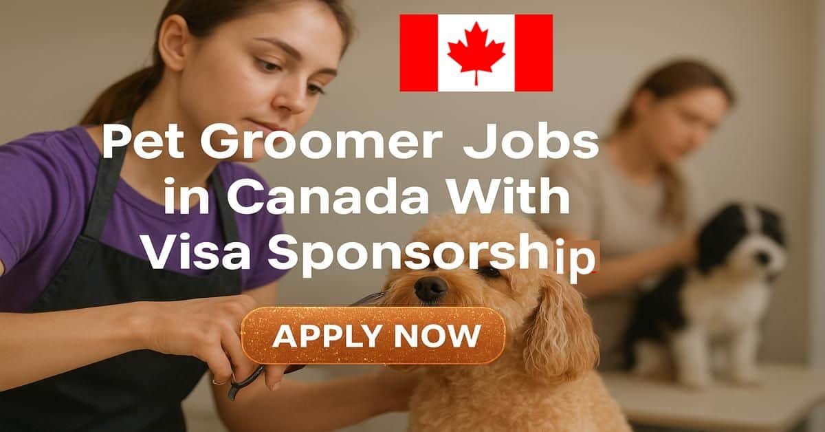 Gallery Detail: Pet Groomer Jobs In Canada With Visa Sponsorship 2026