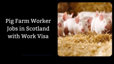 Pig Farm Worker Jobs in Scotland with Work Visa