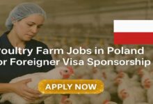 Poultry Farm Jobs in Poland for Foreigner with Visa