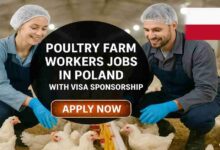 Poultry Farm Workers Jobs in Poland