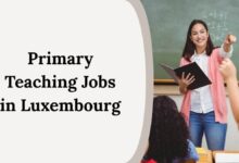 Primary Teaching Jobs in Luxembourg