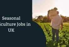 Seasonal Agriculture Jobs in UK