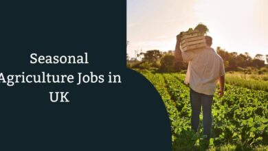 Seasonal Agriculture Jobs in UK