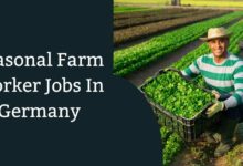 Seasonal Farm Worker Jobs In Germany