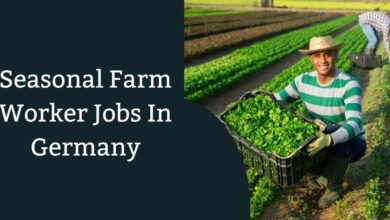 Seasonal Farm Worker Jobs In Germany