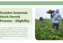 Sweden Seasonal Work Permit Process