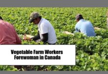 Vegetable Farm Workers Forewoman in Canada Visa Sponsorship