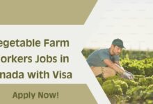 Vegetable Farm Workers Jobs in Canada with Visa