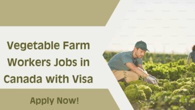 Vegetable Farm Workers Jobs in Canada with Visa