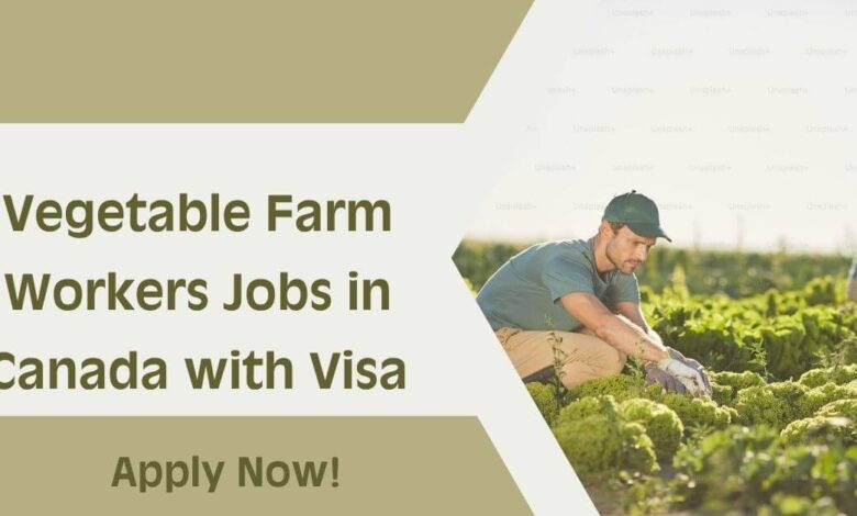 Vegetable Farm Workers Jobs in Canada with Visa