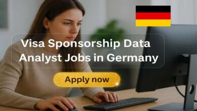 Visa Sponsorship Data Analyst Jobs in Germany