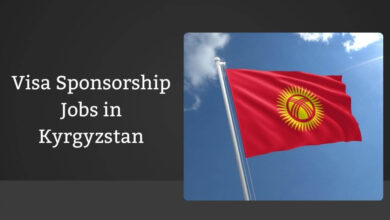 Visa Sponsorship Jobs in Kyrgyzstan
