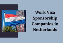 Work Visa Sponsorship Companies in Netherlands