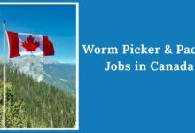 Worm Picker & Packer Jobs in Canada