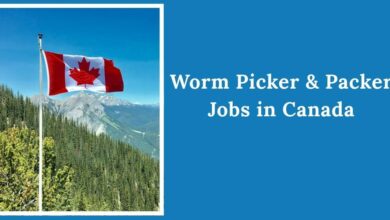 Worm Picker & Packer Jobs in Canada