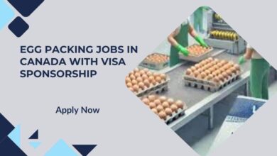 Egg Packing Jobs in Canada With Visa Sponsorship