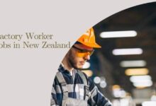 Factory Worker Jobs in New Zealand