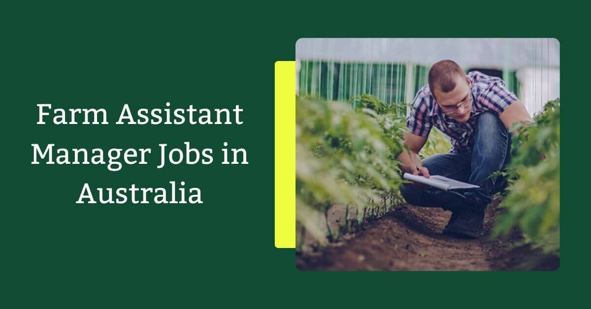 Farm Assistant Manager Jobs in Australia 2026 - Apply Now