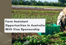 Farm Assistant Opportunities In Australia With Visa Sponsorship
