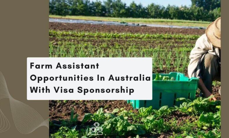 Farm Assistant Opportunities In Australia With Visa Sponsorship