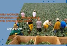 Farm Worker Opportunities In Australia With Sponsored Visas