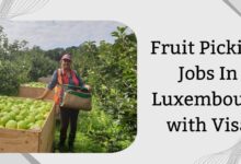 Fruit Picking Jobs In Luxembourg with Visa